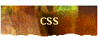 CSS