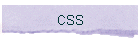 CSS