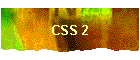 CSS 2